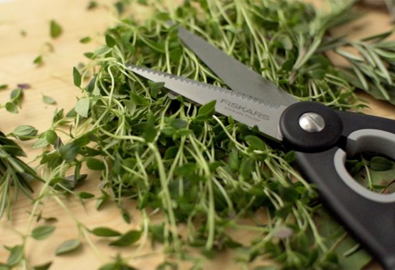 Cutting Academy kitchen scissors and shears