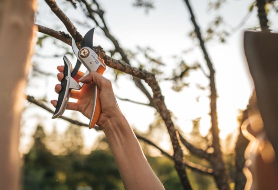 Fiskars pruning shears - What are pruning shears used for?