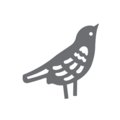 Intricate Shape Punch - Bird