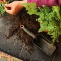 Soil scoop for potting and planting