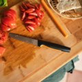 Functional Form Tomato knife